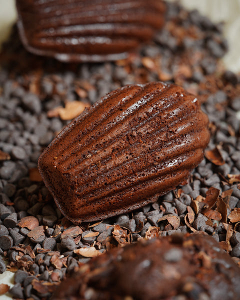 【下回待續】瑪德蓮興趣班 Madeleine Workshop