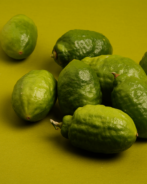 暫停供應-手摘香水檸檬撻